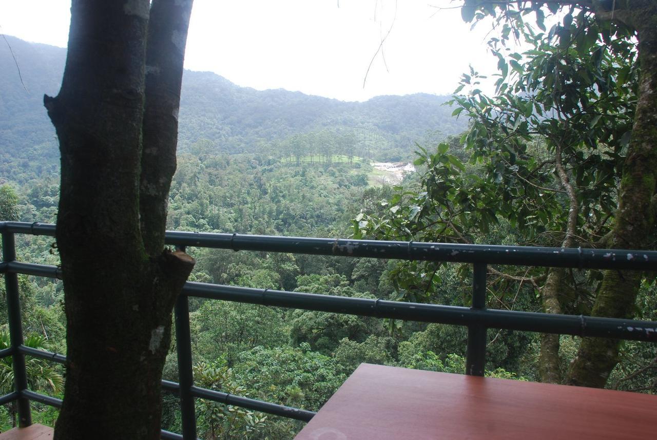 Wild Elephant Eco Friendly Resort Муннар Екстер'єр фото