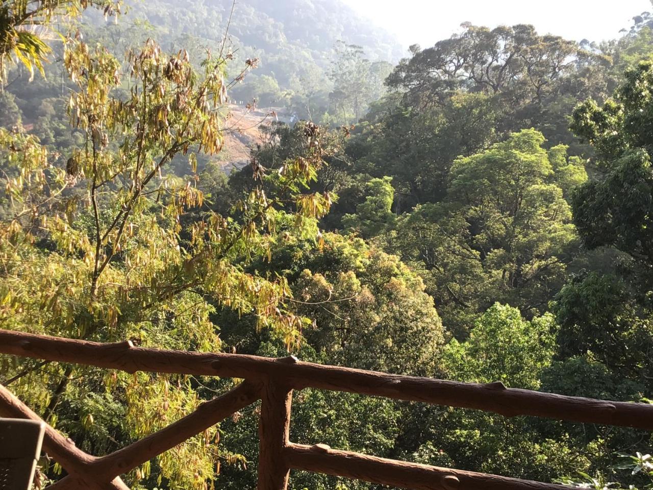 Wild Elephant Eco Friendly Resort Муннар Екстер'єр фото