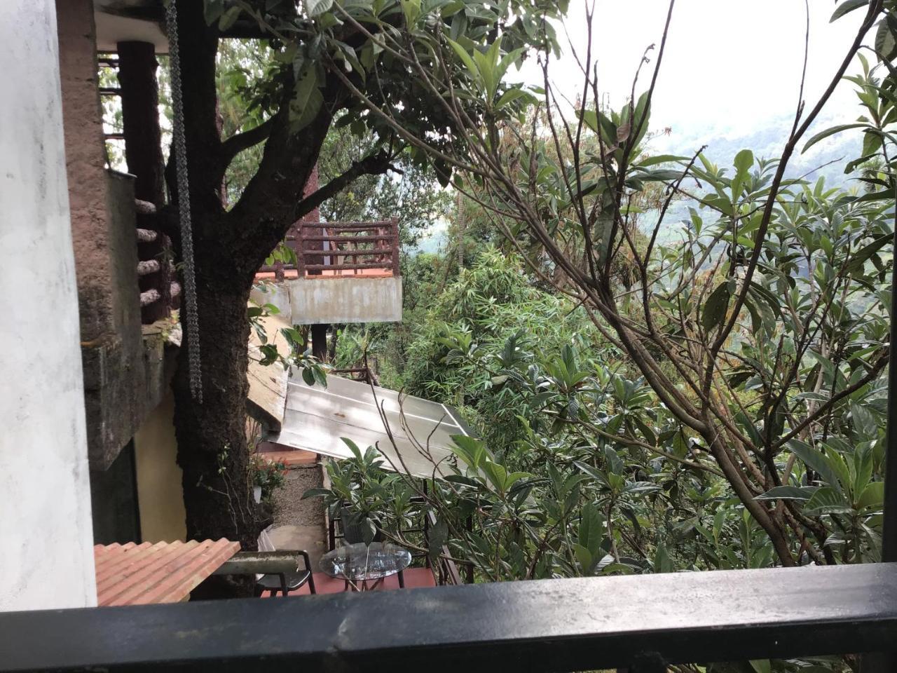 Wild Elephant Eco Friendly Resort Муннар Екстер'єр фото